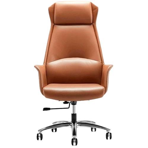 Brown Leatherette High Back Office Chair with Fixed Arms Manufacturers in Delhi