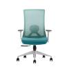 Durable Stackable Executive Chair with Adjustable Headrest Manufacturers, Suppliers, Exporters in Delhi