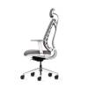 Mesh Office Chair with Adjustable Height Manufacturers, Suppliers, Exporters in Delhi