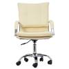 Multifunctional Executive Office Chair Manufacturers, Suppliers, Exporters in Delhi