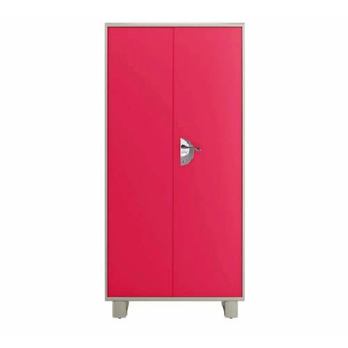 Silver Mild Steel Office Cabinet with 2 Hinged Doors, 4 Shelves Manufacturers in Delhi